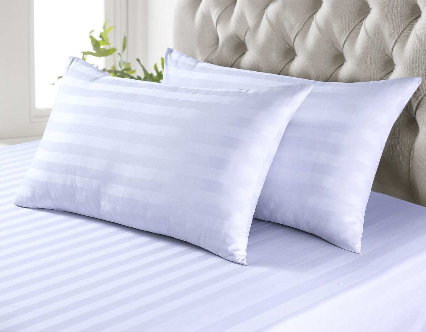 Luxury White Pillowcases